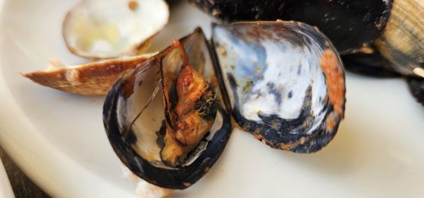 Trattoria Alla Fontana by null