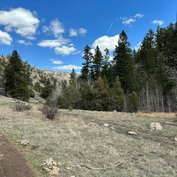 Lower Dadd Gulch - Hiking Near Me - Bellvue, Colorado