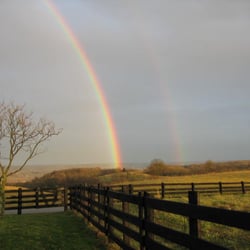 Tuggles Folly