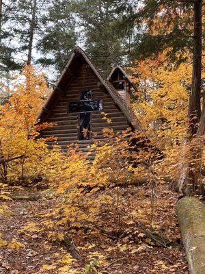 Hartwick Pines Logging Museum by null