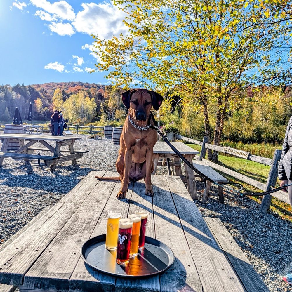 Von Trapp Brewing Bierhall Restaurant - Picnic table outside area - Austrian Near Me - Stowe, Vermont