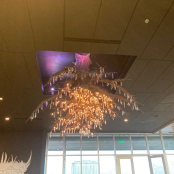 Eve on Adams - Lighted tree chandelier - Lounges Near Me - Tallahassee, Florida