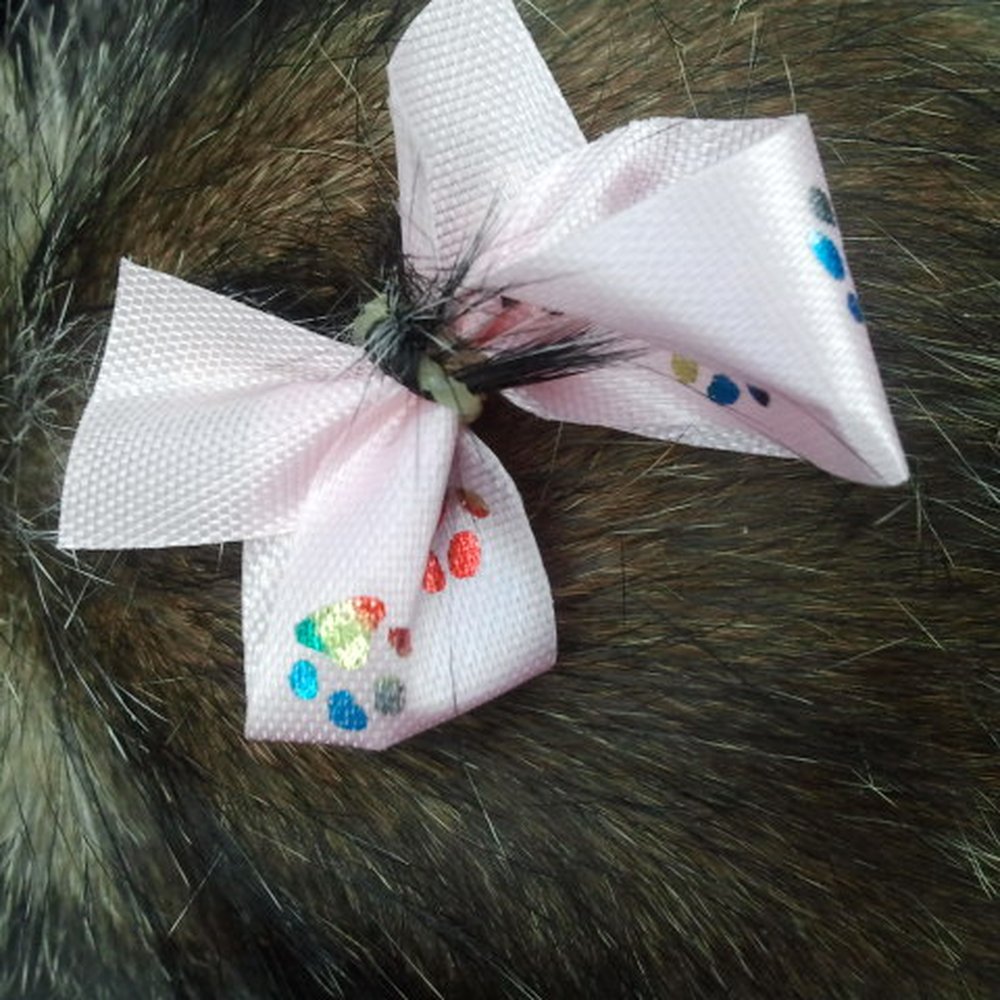 Critter Corral Pet Grooming - Pink bow - Pet Groomers Near Me - Phoenix, Arizona