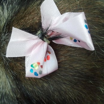 Critter Corral Pet Grooming - Pink bow - Pet Groomers Near Me - Phoenix, Arizona Critter Corral Pet Grooming - Pink bow - Pet Groomers Near Me - Phoenix, Arizona