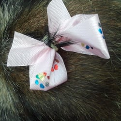 Critter Corral Pet Grooming - Pink bow