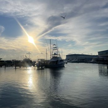Dirty Al's - Seafood Near Me - South Padre Island, Texas