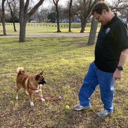 Elgin Memorial Park - Lots of green to explore with Fido.