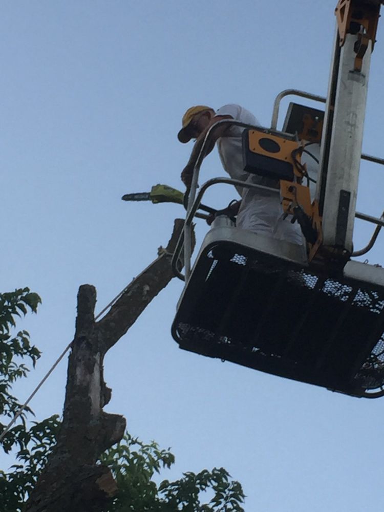Slide of Ferrell & Son's Residential Property Maintenance