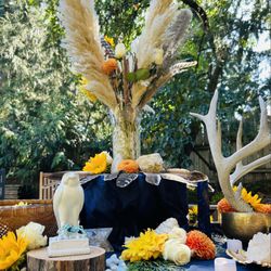 Amber Jane Healing - Equinox and Solstice events by Amber Jane Arquette