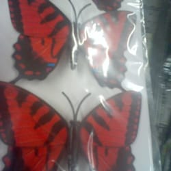 Dollar Tree - I can come back for butterflies