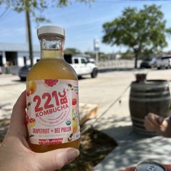 Sun King Sarasota - Kombucha was great!!
