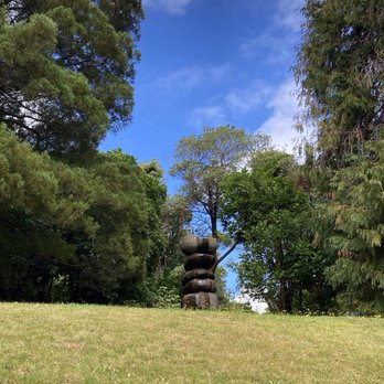 Wellington Botanical Gardens - Along the sculpture path - Botanical Gardens Near Me - Wellington, WGN