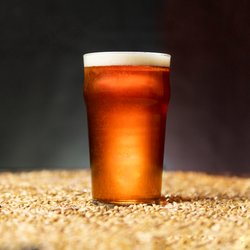 Elliott Bay Brewing - West Seattle