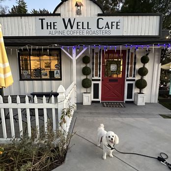 The Well Cafe - Alpine Coffee Roasters - a white dog on a leash - Coffee Roasteries Near Me - Alpine, California