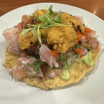 Holbox - Kanpachi & Uni Tostada - Latin American Near Me - Los Angeles, California Holbox - Kanpachi & Uni Tostada - Latin American Near Me - Los Angeles, California