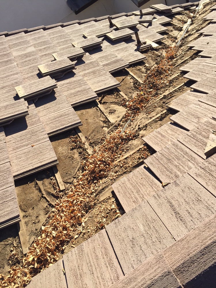 Slide of The Roof Repair Guy