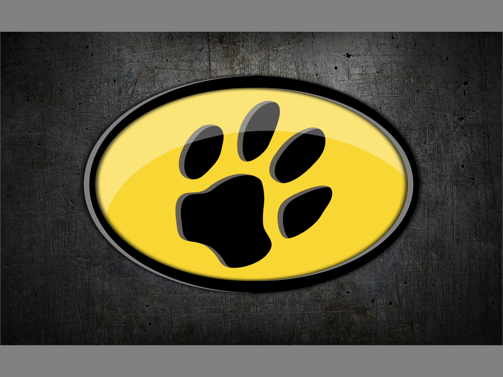 Pawtham City Image