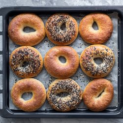Delicious Bagels