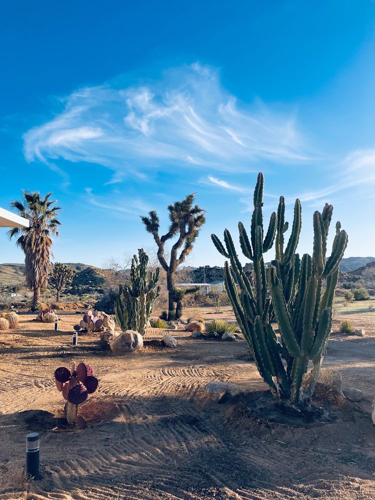 SILVER DOLLAR CACTUS NURSERY Updated October 2024 20 Photos & 21 Reviews 15300 Seeley Rd