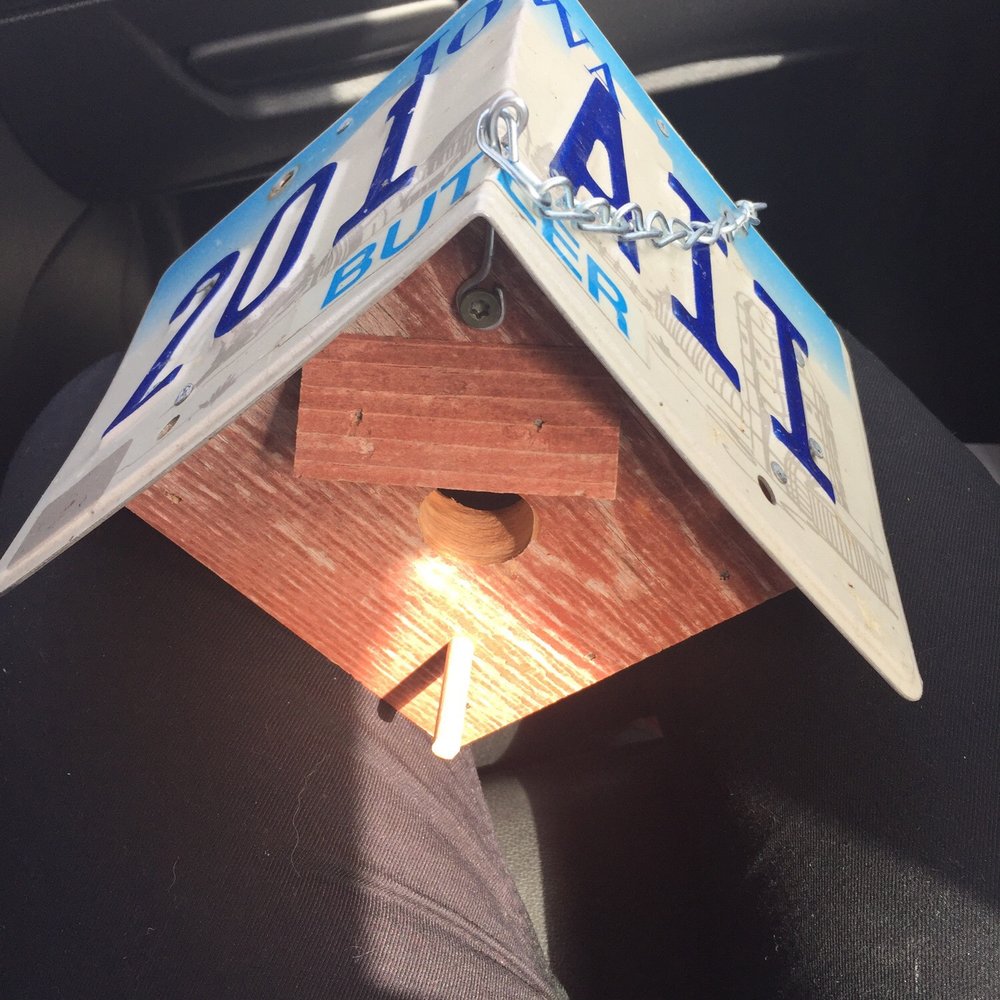 Frisian Farms - Wren birdhouse - Cheese Shops Near Me - Leighton, Iowa Frisian Farms - Wren birdhouse - Cheese Shops Near Me - Leighton, Iowa