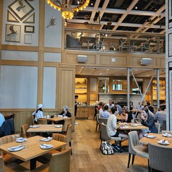 Nightingale - A spacious, contemporary yet classic dining space. - Live/Raw Food Near Me - Vancouver, British Columbia Nightingale - A spacious, contemporary yet classic dining space. - Live/Raw Food Near Me - Vancouver, British Columbia