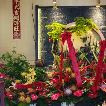 Honolulu Seafood Restaurant - Beautiful water display just inside the restaurant - Dim Sum Near Me - Urban Honolulu, Hawaii Honolulu Seafood Restaurant - Beautiful water display just inside the restaurant - Dim Sum Near Me - Urban Honolulu, Hawaii