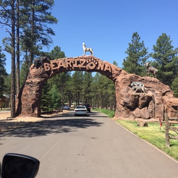 Bearizona - Entry - Zoos Near Me - Williams, Arizona Bearizona - Entry - Zoos Near Me - Williams, Arizona