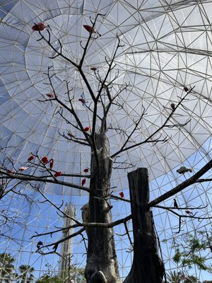 Oceanogràfic València by null