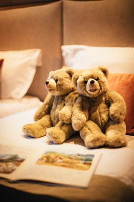 Chalet Hôtel Alpen Valley by null