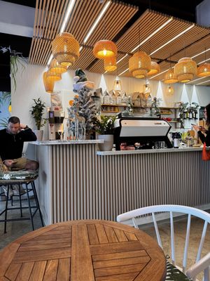 ALL YOU NEED - SUNNY by null