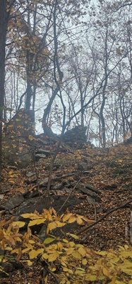 Cranberry Lake Preserve by null