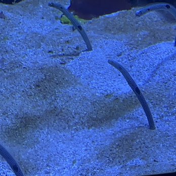 Discovery Place Science - Museums Near Me - Charlotte, North Carolina