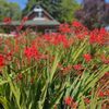 Fat Cat Garden & Gifts gift card