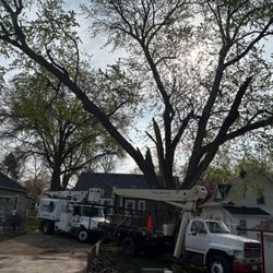 Turnbull's Tree Service