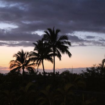 Tommy Bahama - View from patio - New American Near Me - Kamuela, Hawaii Tommy Bahama - View from patio - New American Near Me - Kamuela, Hawaii