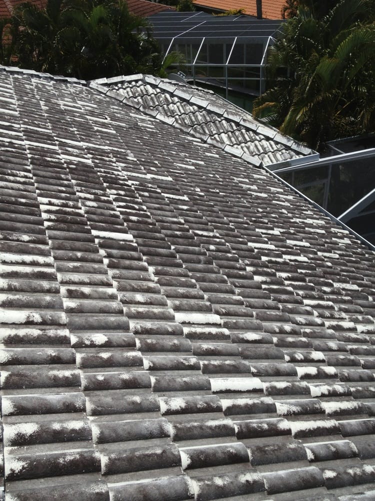 PREFERRED PRESSURE CLEANERS Updated August 2024 2675 S Tamiami Trl