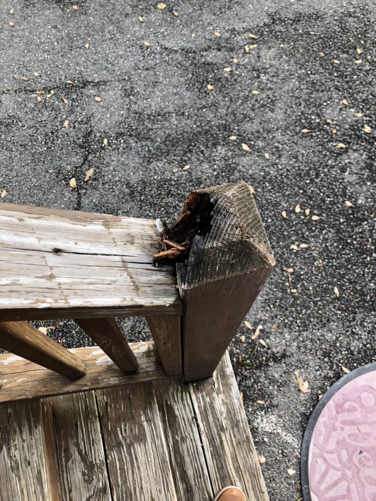 Slide of Boston Paint Brush