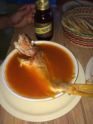 El Grillo Marinero by null