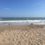 Photo of Playa del Prat de Llobregat