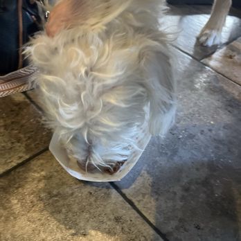 Idyllwild Brewpub - Brewpubs Near Me - Idyllwild, California