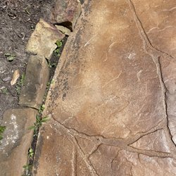 Houston Concrete Staining