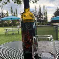 The Vibrant Vine