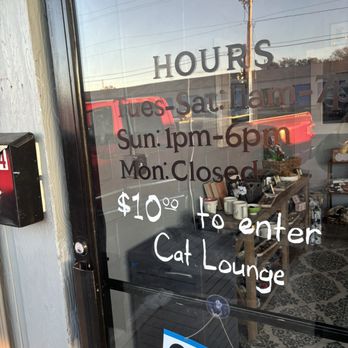 Cleo’s Cat Cafe - Cafes Near Me - Oak Ridge, Tennessee Cleo’s Cat Cafe - Cafes Near Me - Oak Ridge, Tennessee