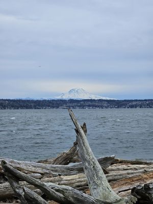 Point Robinson Lighthouse by null