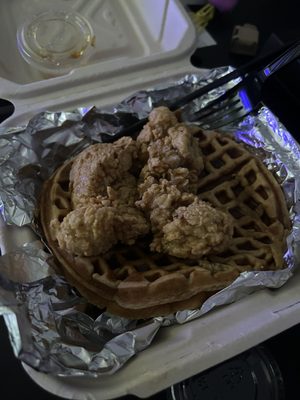 Young Cluck by null