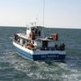 Photo of Hy-Line Cruises - Deep Sea Fishing & Hyannis Harbor Cruises