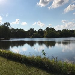 Rustic Trails RV Park - There're fish in this lake!!