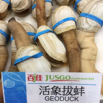 Jusgo Supermarket - "gooeyduck" is a gigantic clam used mainly in chowders - some Asians consider them aphrodisiacs due to their shape - Grocery Near Me - Duluth, Georgia Jusgo Supermarket - "gooeyduck" is a gigantic clam used mainly in chowders - some Asians consider them aphrodisiacs due to their shape - Grocery Near Me - Duluth, Georgia
