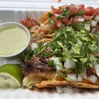 Tacos wey 561 - Tacos! - Tacos Near Me - Boca Raton, Florida Tacos wey 561 - Tacos! - Tacos Near Me - Boca Raton, Florida