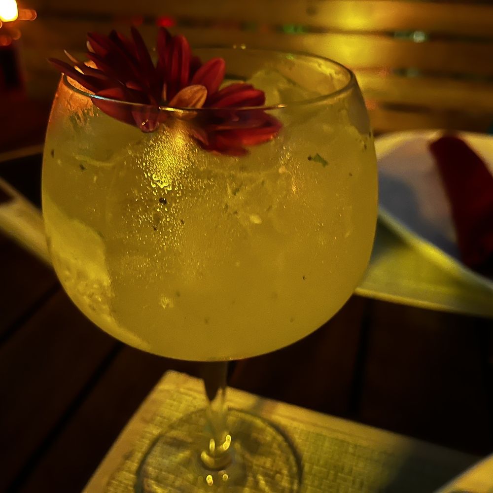 Thai Restaurant - Basil cucumber drink - Thai Near Me - Cancún, ROO Thai Restaurant - Basil cucumber drink - Thai Near Me - Cancún, ROO